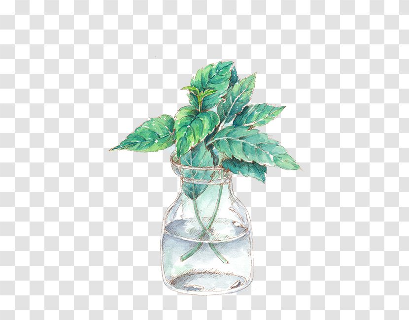 Oil Painting Watercolor - Water Bottle Leaves Transparent PNG