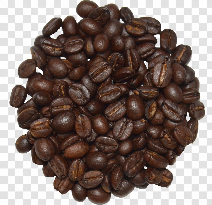 Jamaican Blue Mountain Coffee KEY COFFEE INC Starbucks Iced - Cocoa Bean - Beans Transparent PNG