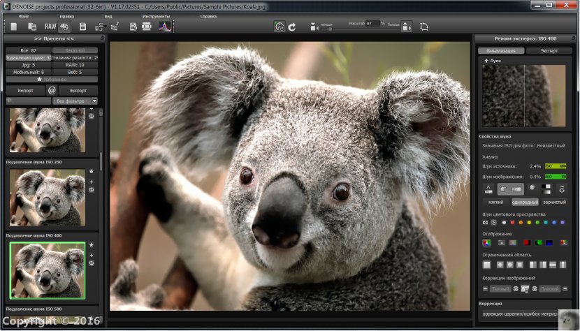 Image Editing Adobe Photoshop Elements Systems Computer Software - Tutorial - Koala Transparent PNG