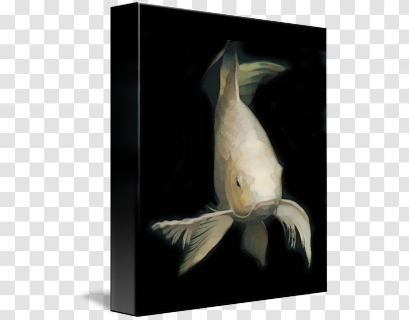 Painting Koi Gallery Wrap Canvas Art - Organism Transparent PNG