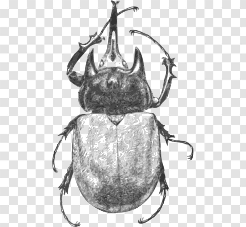 Beetle Monochrome Black And White - Photography - Vector Transparent PNG