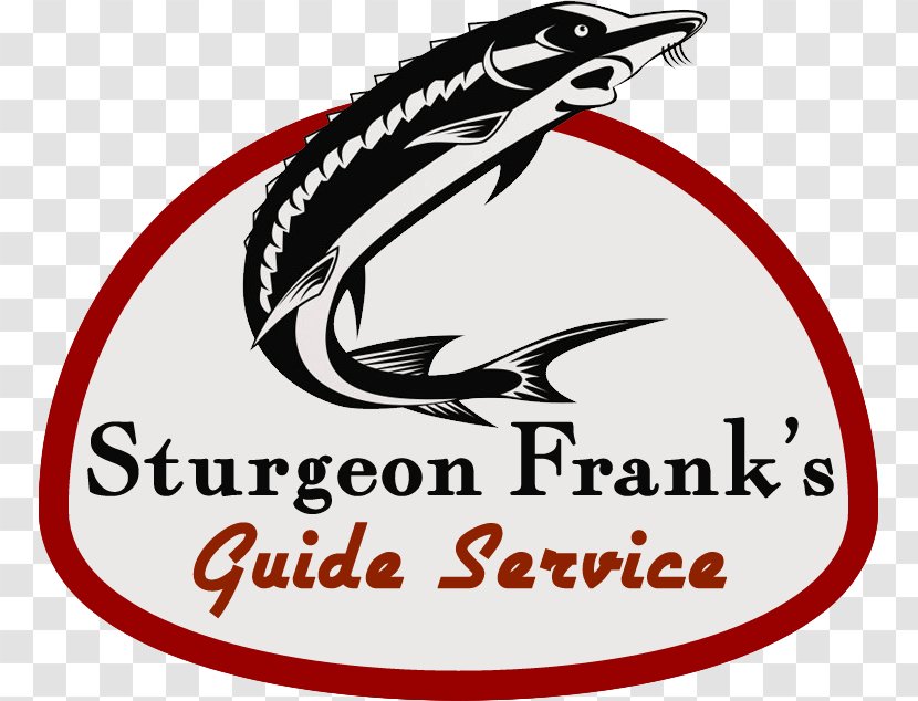 Sturgeon Fishing Animal Rainbow Trout - Fish Transparent PNG