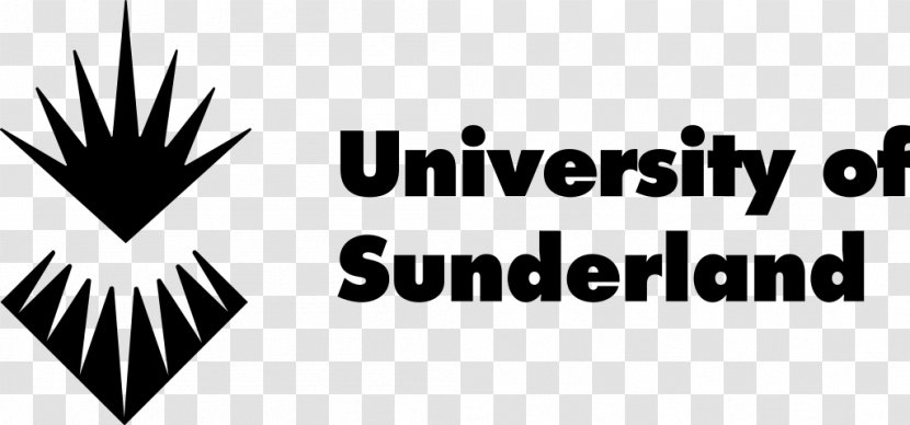 University Of Sunderland Santa Clara School Law Auckland Technology Bournemouth Newcastle - Higher Education - Student Transparent PNG