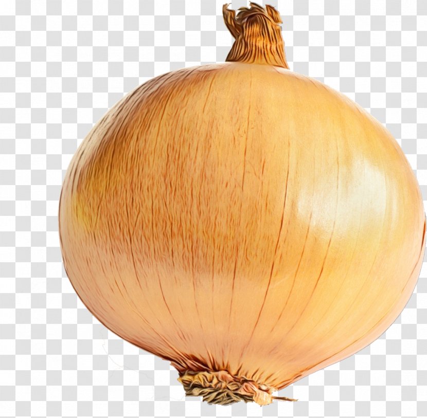 Yellow Onion Vegetable Shallot Plant - Amaryllis Family Garlic Transparent PNG