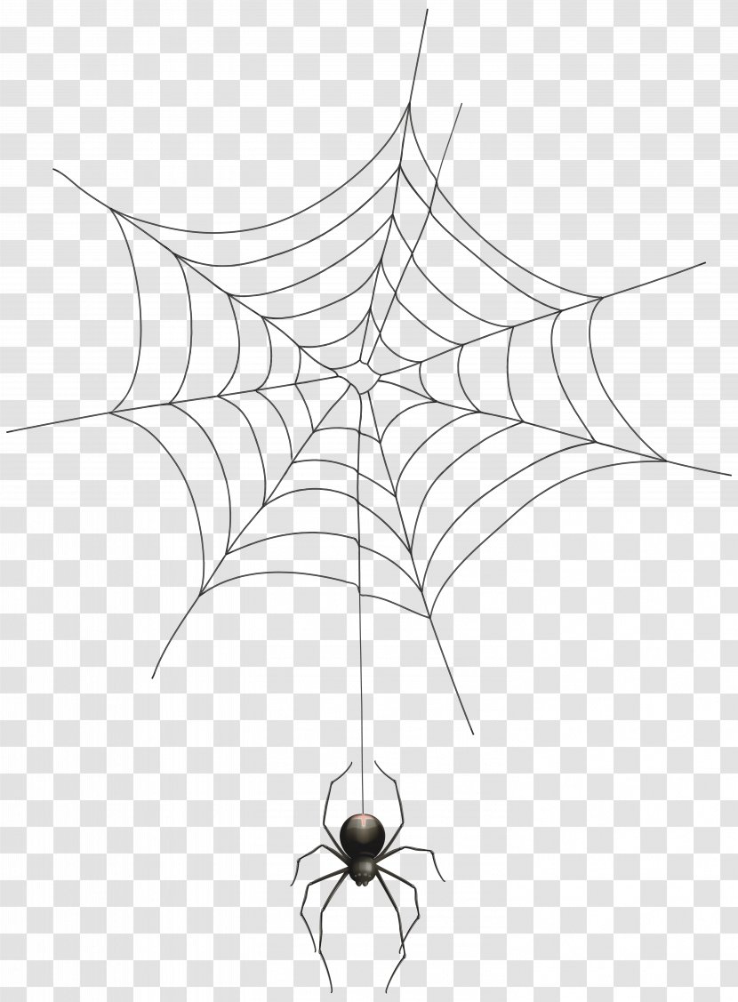 Spider Web Clip Art - Black And White - Transparent Cliparts Transparent PNG