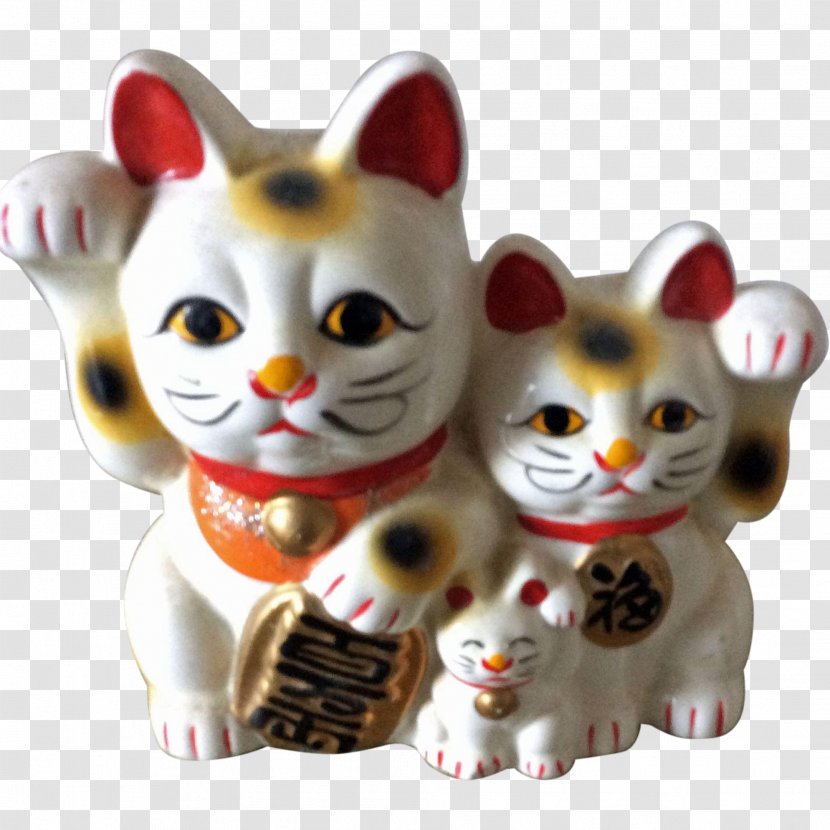 Cat Whiskers Carnivora Animal Mammal - Maneki Neko Transparent PNG