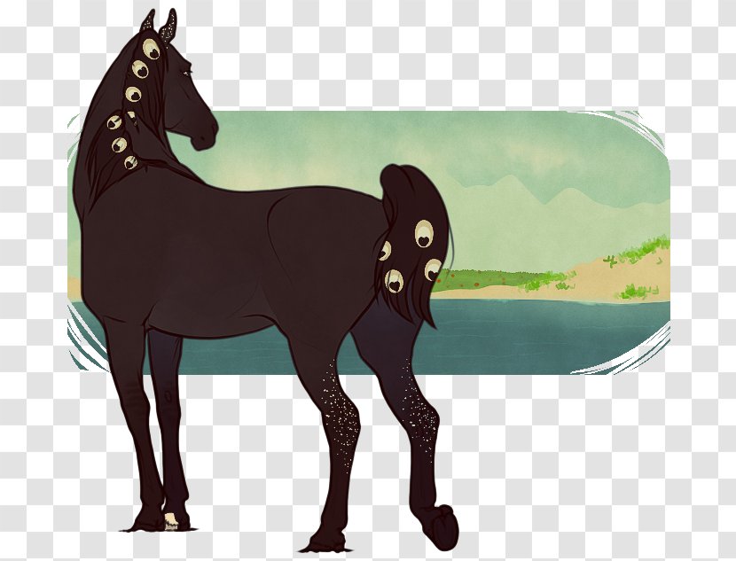 Mustang Foal Mare Stallion Halter - Yonni Meyer Transparent PNG