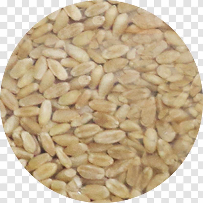 Peanut Cereal Germ Ingredient Seed - Whole Grains Transparent PNG