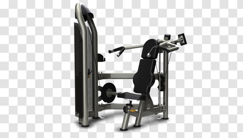 Overhead Press Exercise Equipment Strength Training Weight - Physical Fitness - Jacobs Ladder Of Life Transparent PNG