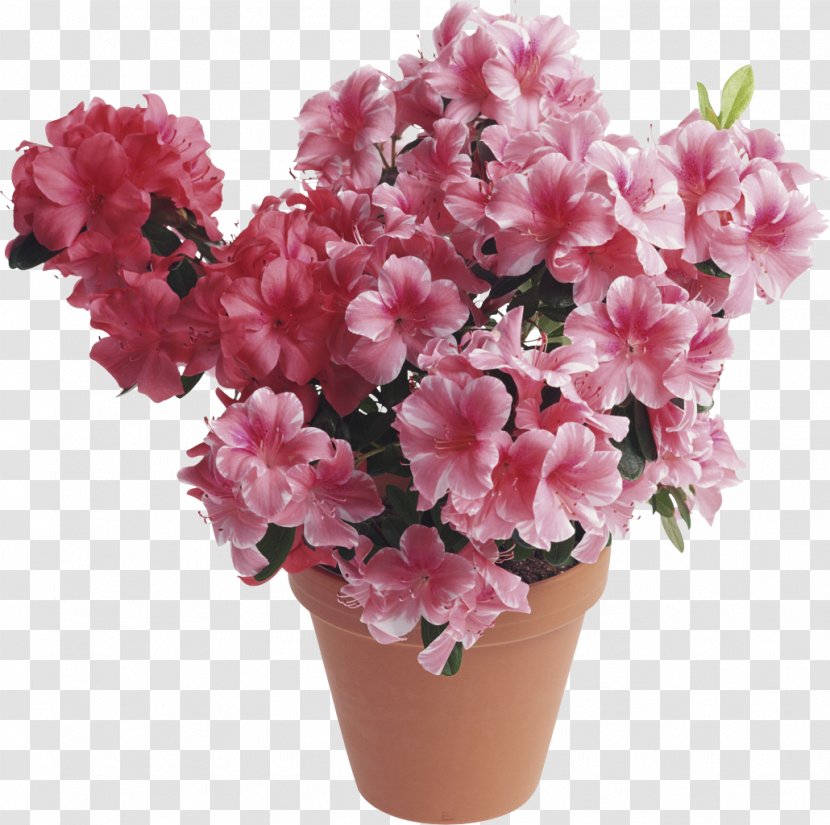 Flower Bouquet Houseplant Birthday Floristry - Pink Family - Flowerpot Transparent PNG