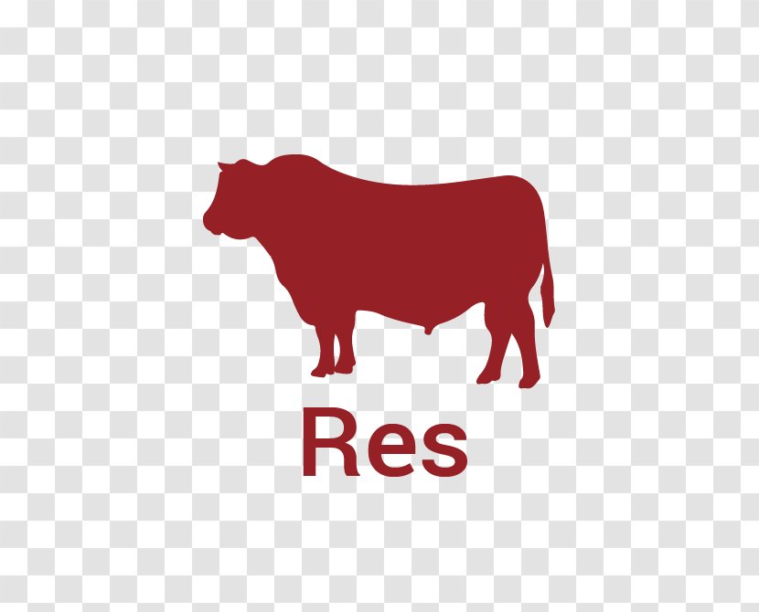 Cattle Logo Bull Brand Font - Cow Goat Family Transparent PNG