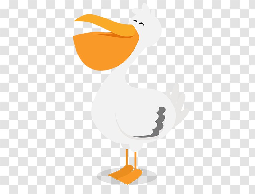 Duck Beak Clip Art - Bird Transparent PNG