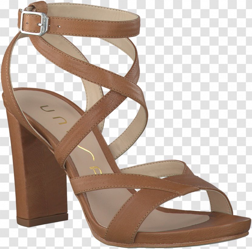 High-heeled Shoe Footwear Sandal Absatz - Court Transparent PNG