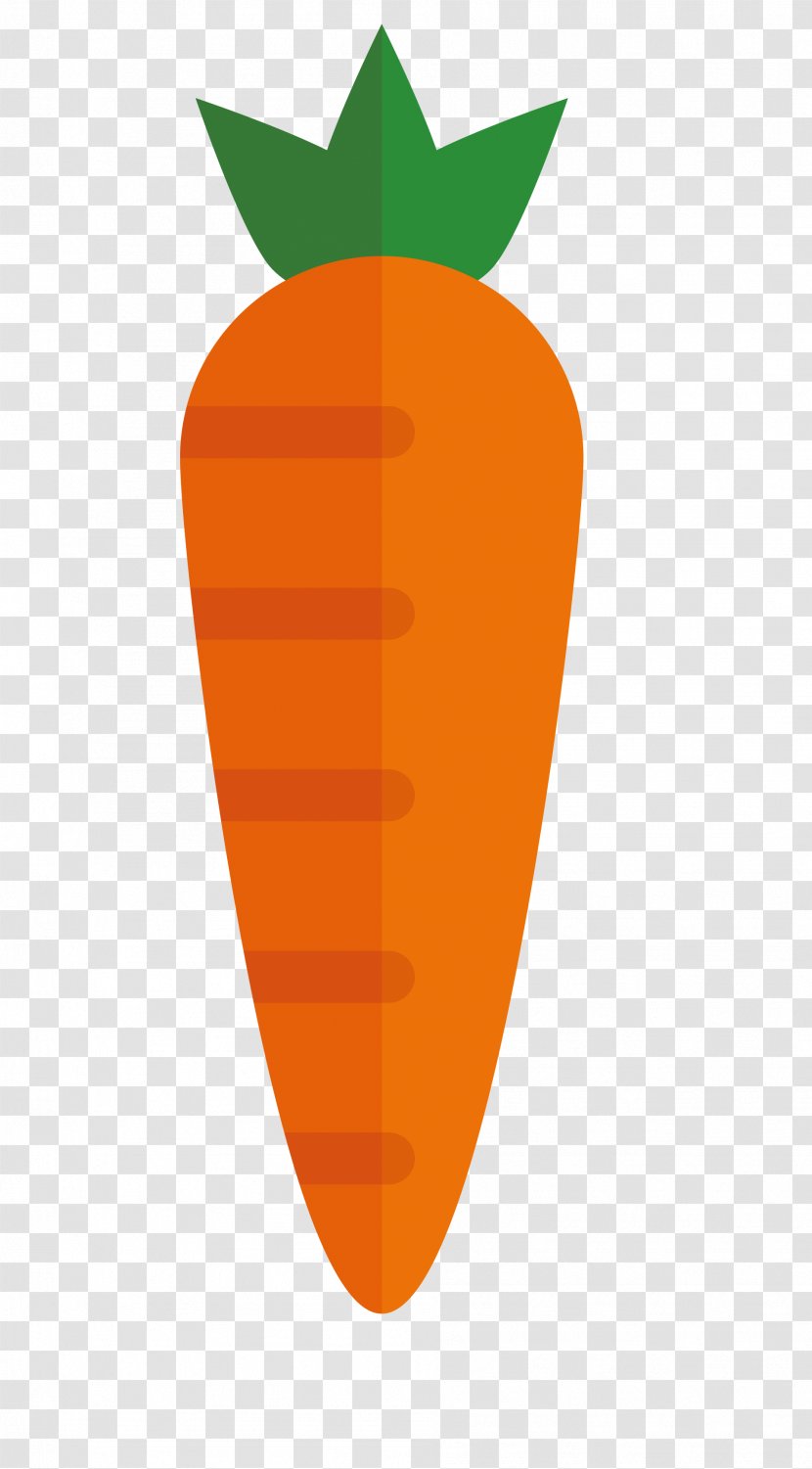 Euclidean Vector - Orange - Carrot Transparent PNG