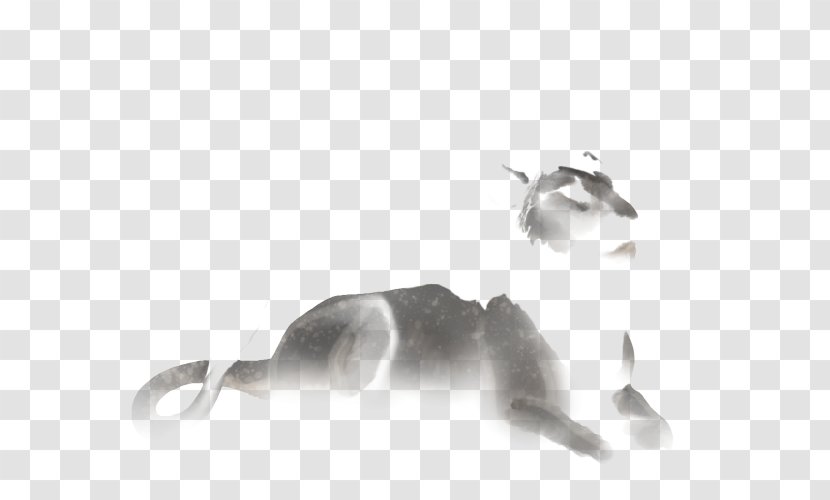 Cat Lion White Black Tail Transparent PNG