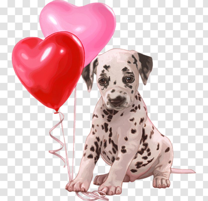 Dalmatian Dog Staffordshire Bull Terrier Bulldog Puppy - Animaatio Transparent PNG