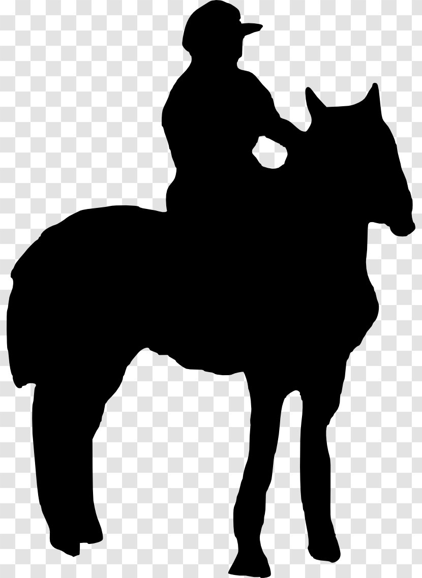 Horse Pony Equestrian Stallion Rein - Riding Transparent PNG
