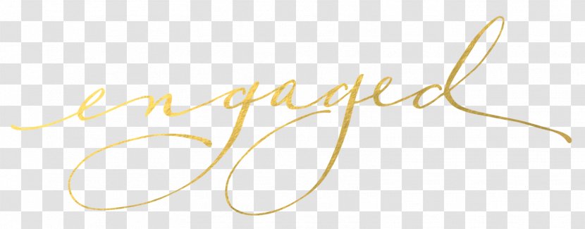 Calligraphy Brand Font - Material - Wedding Chin Transparent PNG