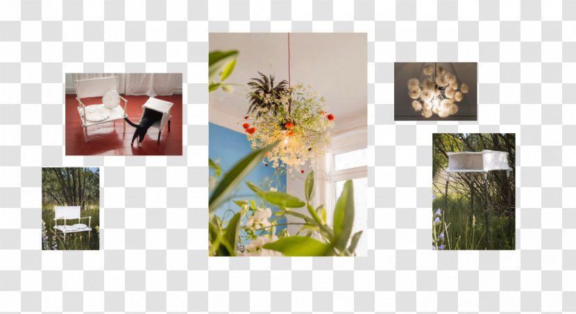 Megalomania Floral Design Aesthetics - Picture Frame - Take A Walk Transparent PNG