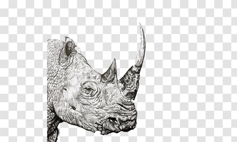 Rhinoceros Reading Baidu Wangpan Pen Computer File - Monochrome Photography - Rhino Drawing Material Picture Transparent PNG