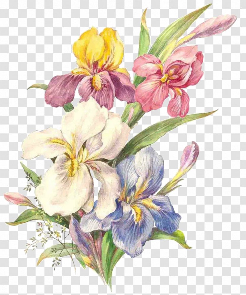 Watercolor: Flowers Watercolor Painting Art Illustration - Floral Design Transparent PNG