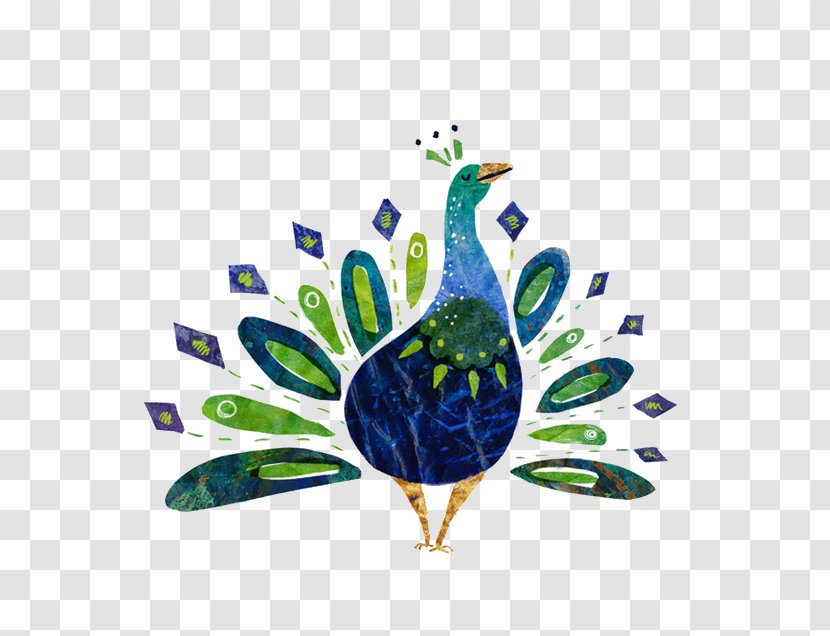 Peafowl Illustration - Designer - Peacock Transparent PNG