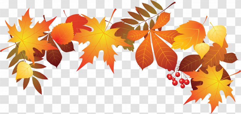 World Teachers Day Leaf Autumn - Withered Leaves Transparent PNG