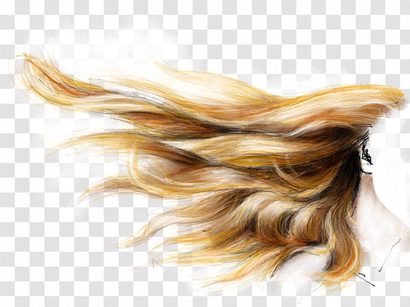 Hair Coloring Brown Human Color Blond - Black Transparent PNG