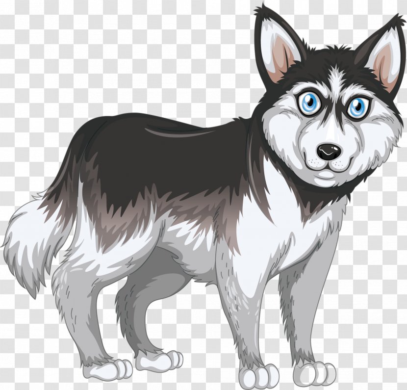 Siberian Husky Royalty-free Euclidean Vector Illustration - Alaskan Malamute - Neurotic Transparent PNG