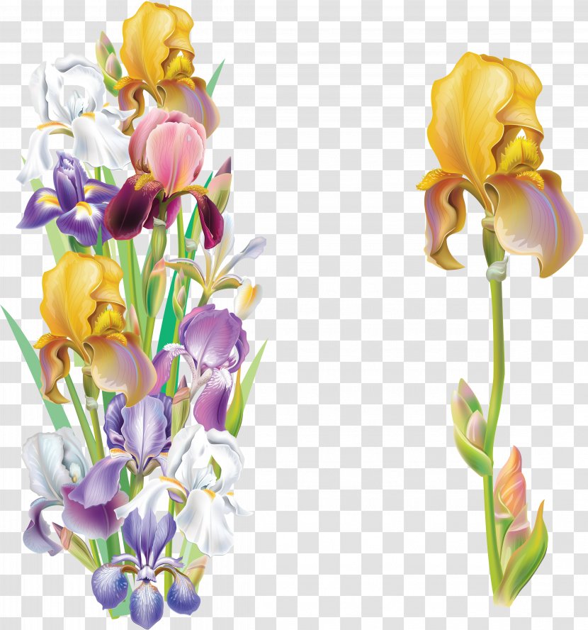 Iris Versicolor Flower Data Set Clip Art - Floral Design Transparent PNG