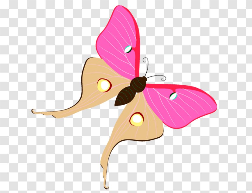 Butterfly Moth Clip Art - Insect Transparent PNG