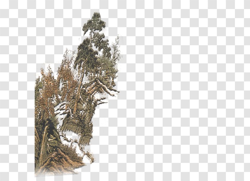 Pine - Pinaceae - Church Hill Reef Scenery Transparent PNG