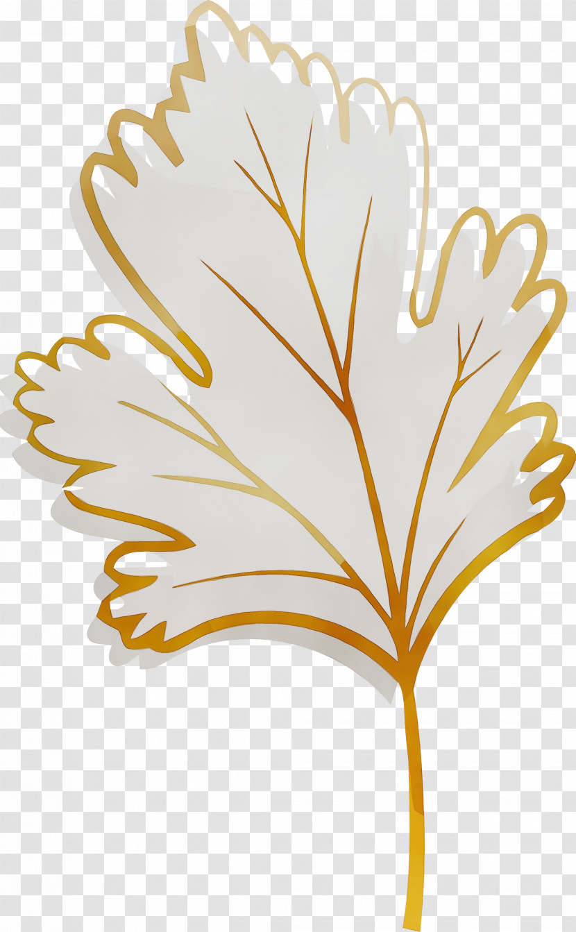 Leaf Yellow Plant Flower Pedicel Transparent PNG