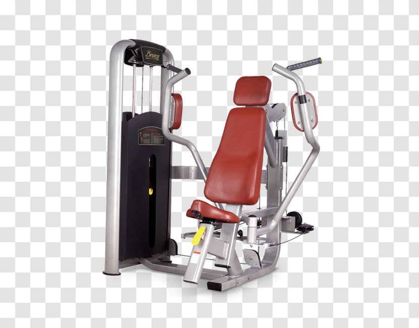 Elliptical Trainers Bench Press Exercise Machine Fitness Centre - Cartoon - Bodybuilding Transparent PNG
