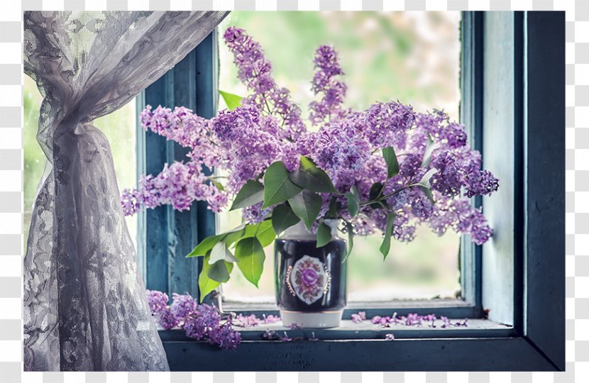 Window Sill Curtain Flower Lilac - Chambranle Transparent PNG