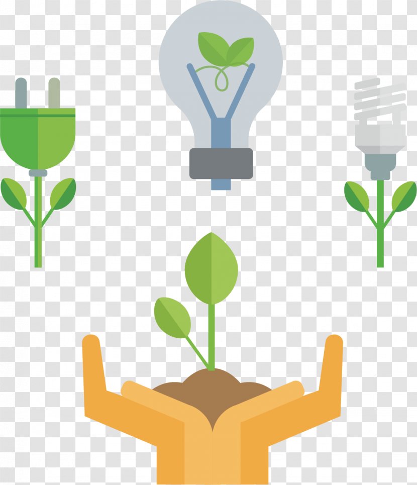 Energy Green Icon - Conservation - Saving Trees Classification And Labelling Transparent PNG