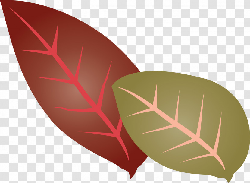 Leaf Font Flower Plants Science Transparent PNG