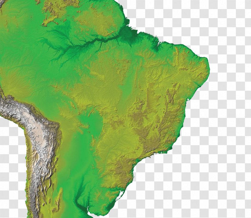 Empire Of Brazil Map Revolt The Lash Atlas - Ecoregion Transparent PNG