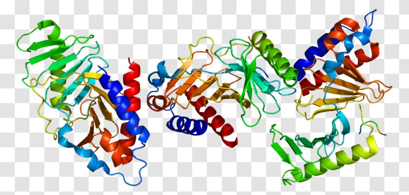 PLK1 Polo-like Kinase Protein Amino Acid Structure - Text Transparent PNG