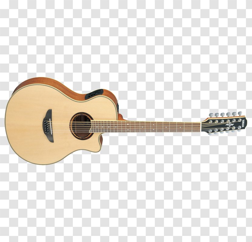 Classical Guitar Cort Guitars Acoustic Dreadnought Electric - Tree Transparent PNG