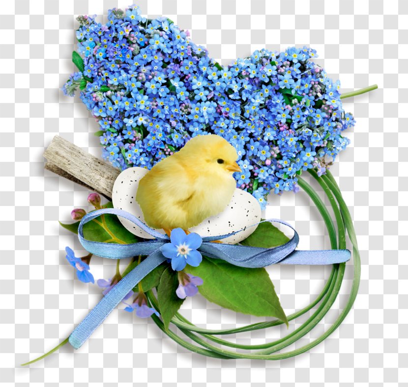 Easter Floral Design Flower Clip Art - Parakeet Transparent PNG