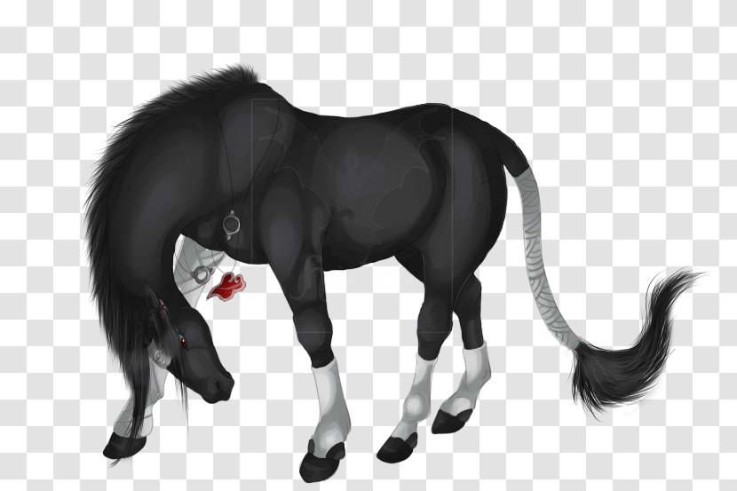 Mane Mustang Stallion Pony Mare Transparent PNG