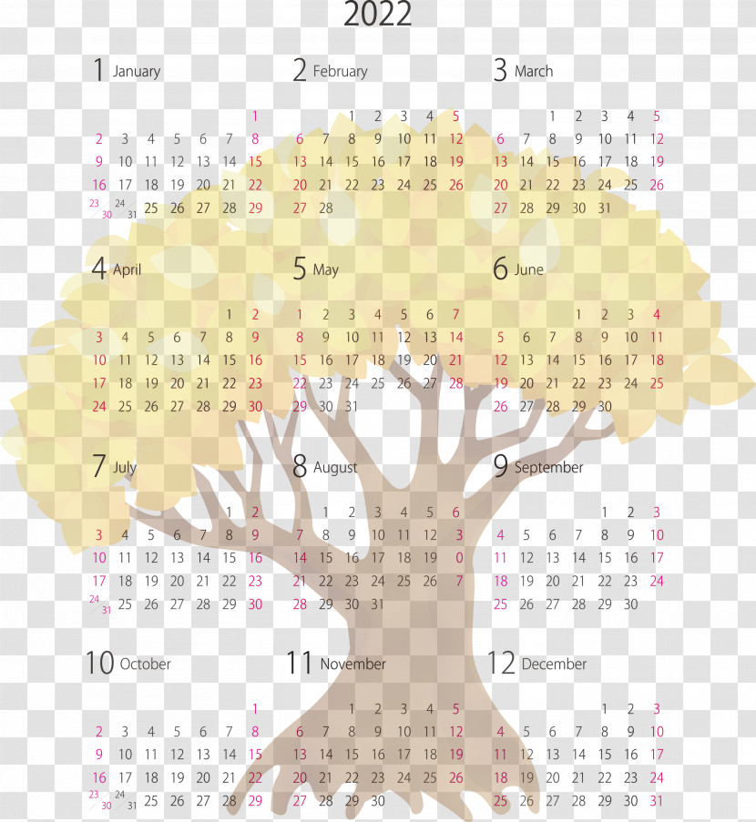 Calendar System Font Line Meter Pattern Transparent PNG