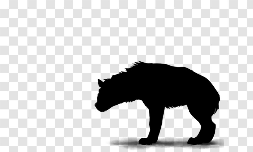 Cat Silhouette - Hyena - Tail Blackandwhite Transparent PNG