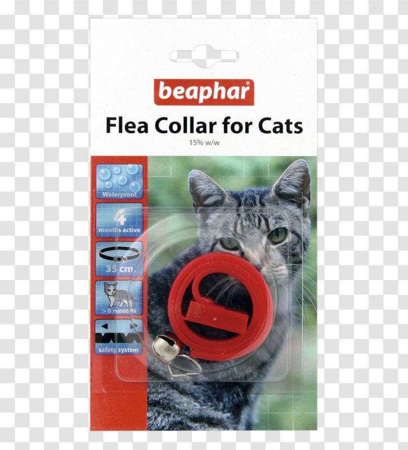Cat Dog Collar Pet Shop Transparent PNG
