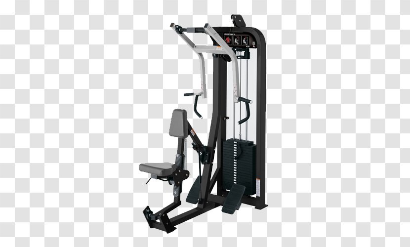 Strength Training Row Fly Hyperextension Crunch - Leg Curl - Gym Transparent PNG
