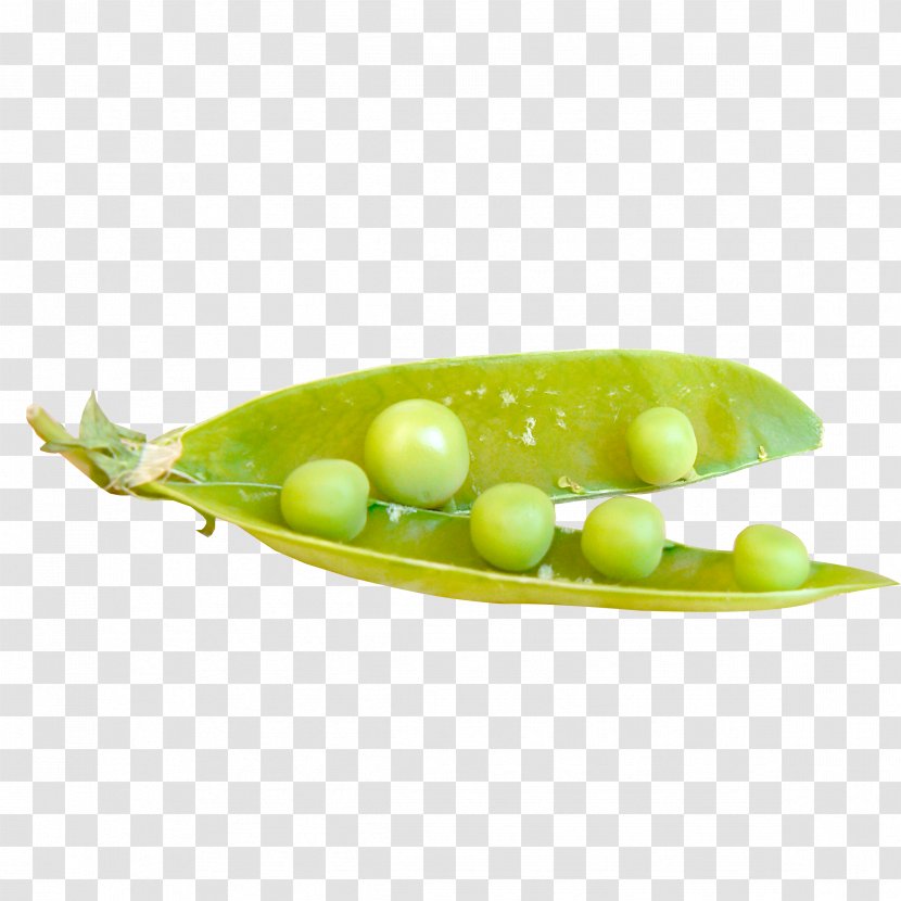 Pea Bean Salad - Lime Transparent PNG
