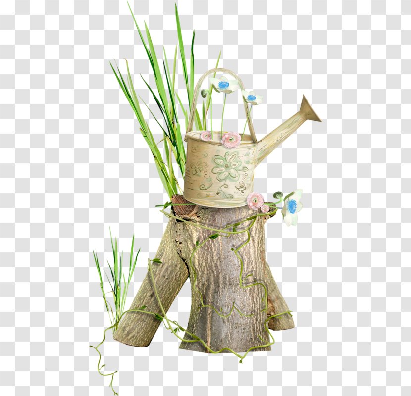 Kettle - Plant - Herb Transparent PNG