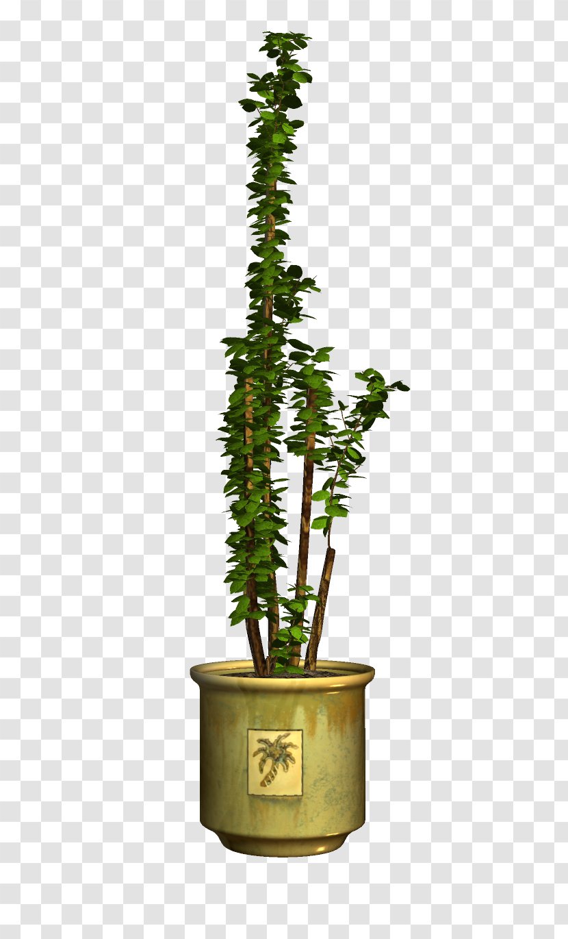 Flowerpot Houseplant - Plant Stem - Tree Transparent PNG