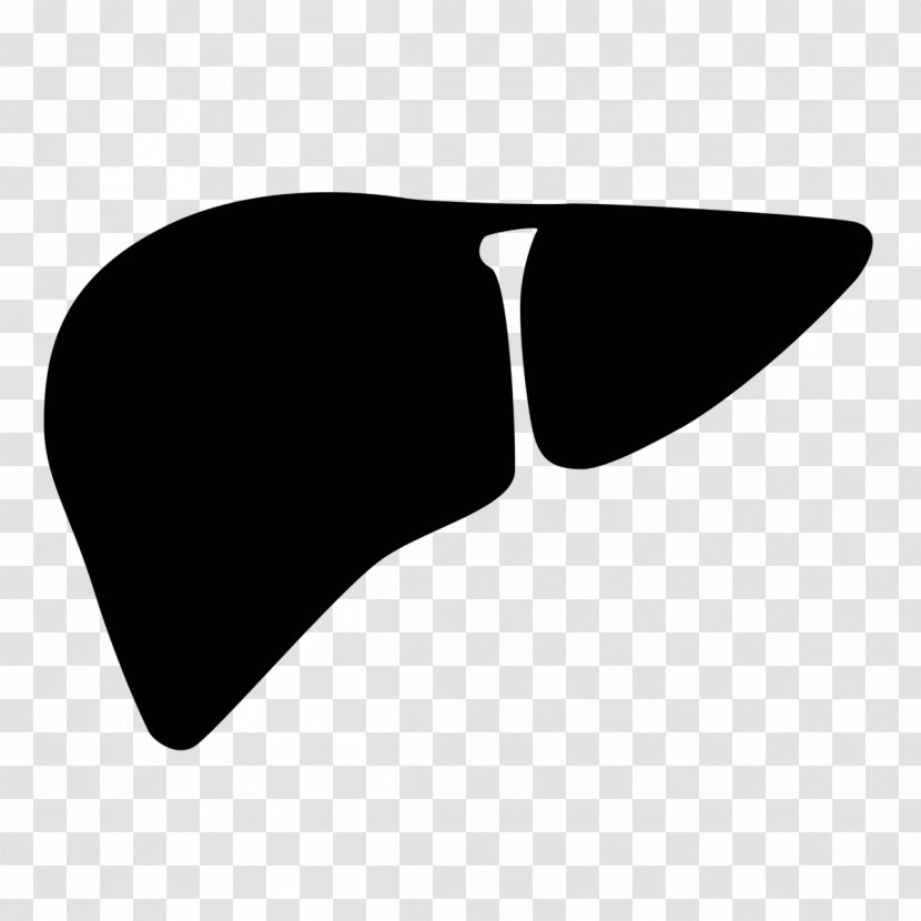 Liver Failure - Wing Transparent PNG